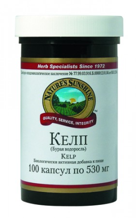 Kelp  Бурая водоросль (Келп)